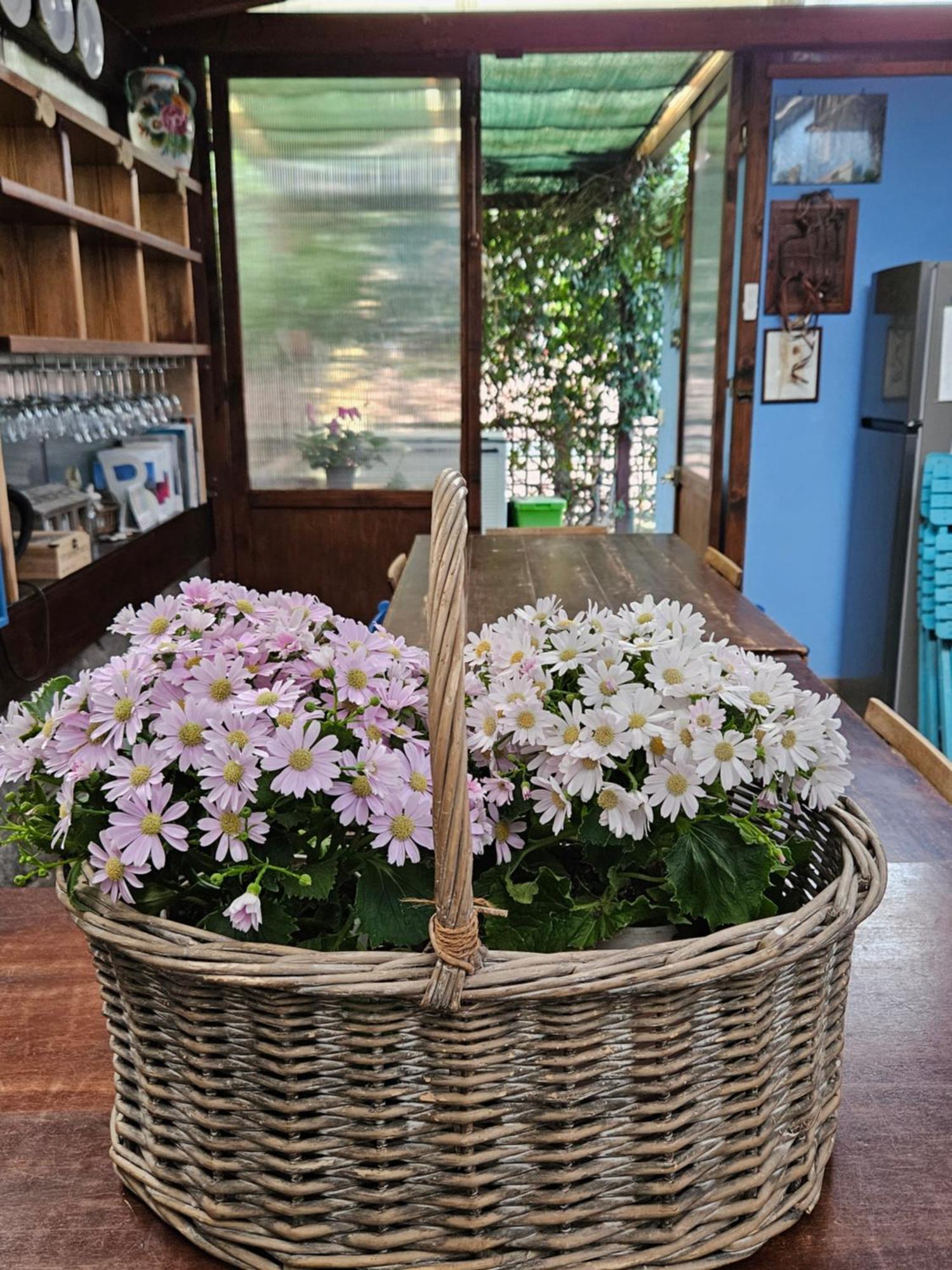 Villa Villacolle Procchio  Ngoại thất bức ảnh