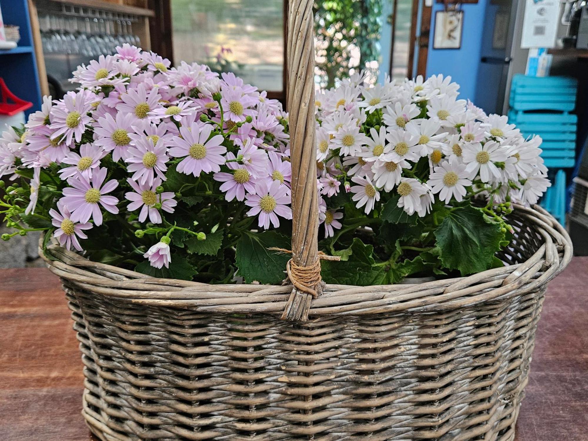 Villa Villacolle Procchio  Ngoại thất bức ảnh